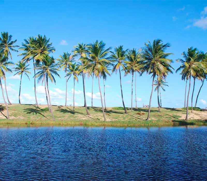  descubra esse Paraíso