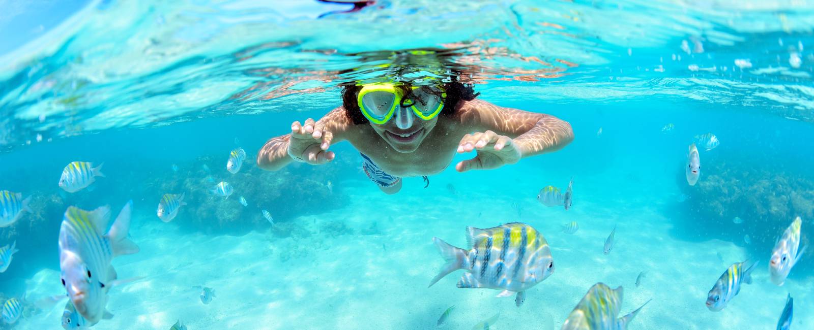 Clubinho do Siri Kid's Club