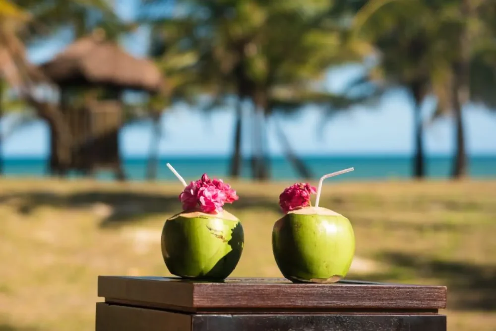  Resort All Inclusive